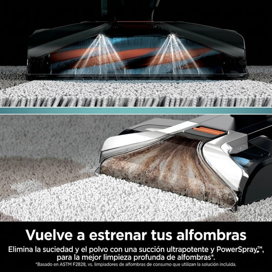 Aspiradora Shark R CarpetXpert