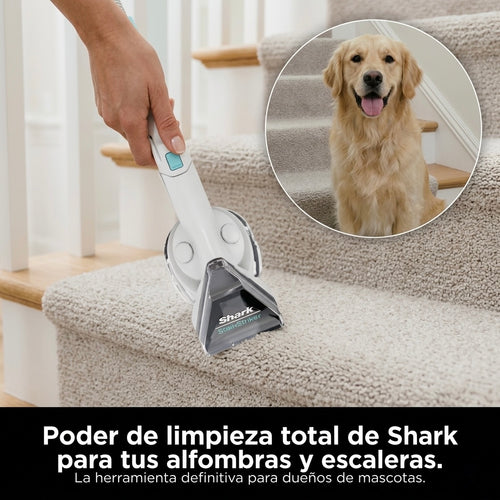 Aspiradora Shark R CarpetXpert